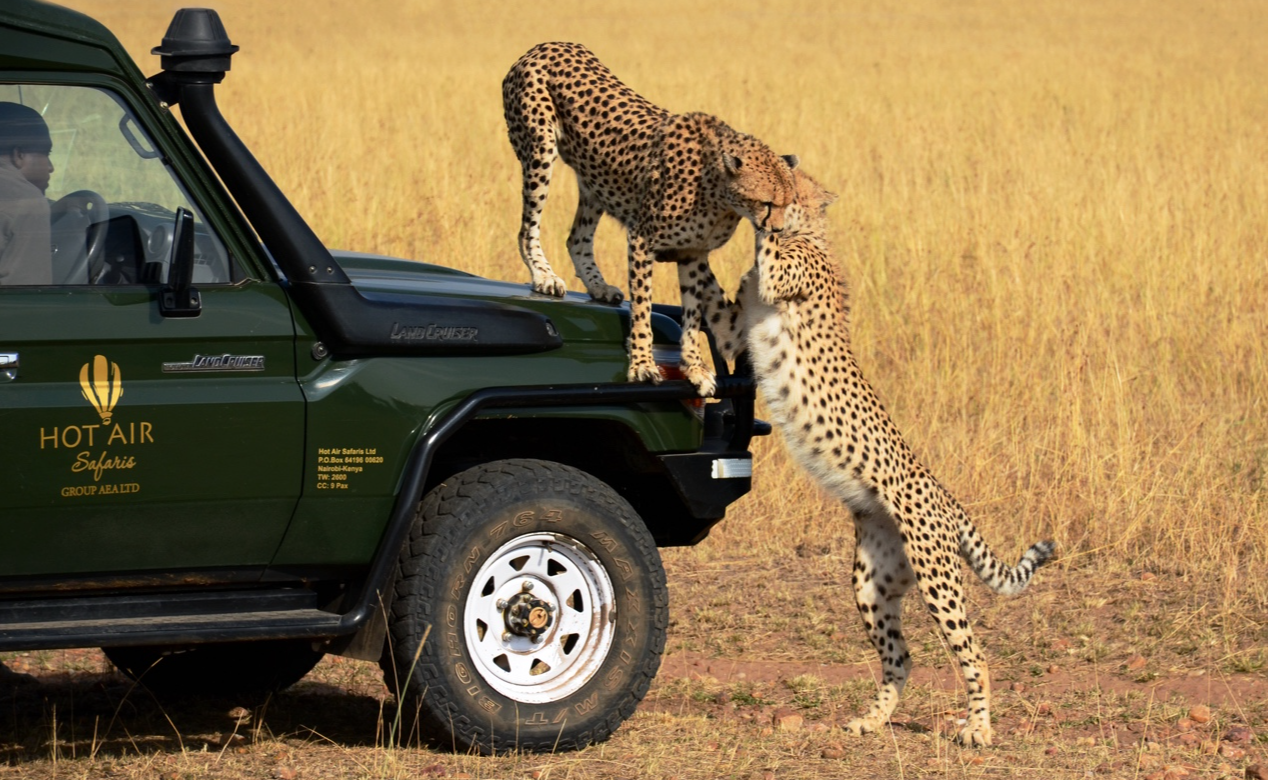 亚洲大学联盟生物多样性摄影大赛举办