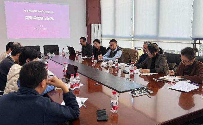 清华大学美育课程与课程美育建设研讨会举行