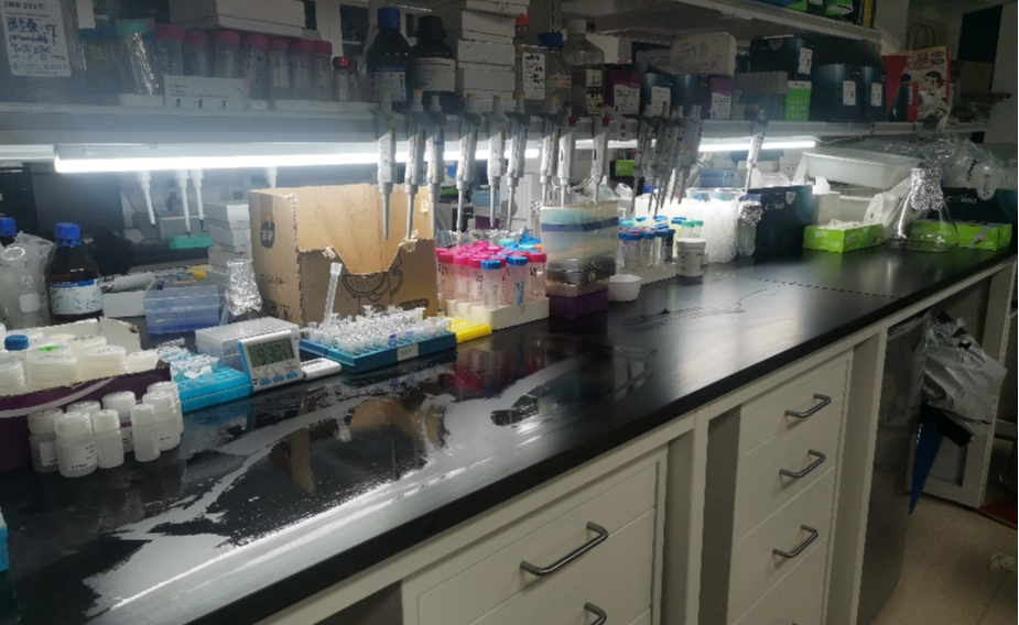 三月“爱上实验室”清理日活动顺利开展