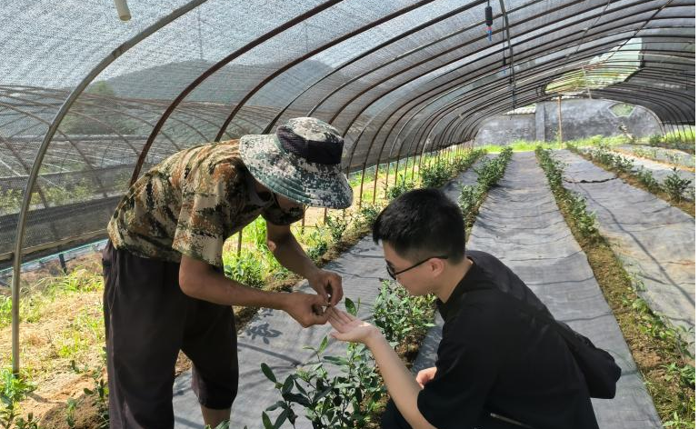 清华大学获2022年全国“三下乡”社会实践活动表彰