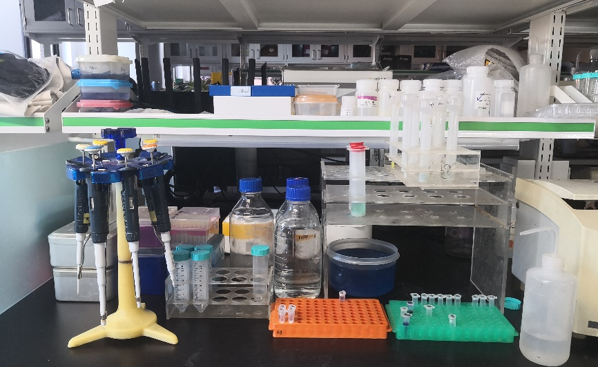 投身劳动实践 研究生实验室清理日活动顺利开展