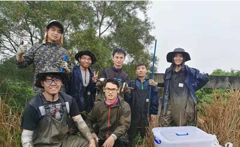 林光辉研究组：守卫红树林的“幕后英雄”