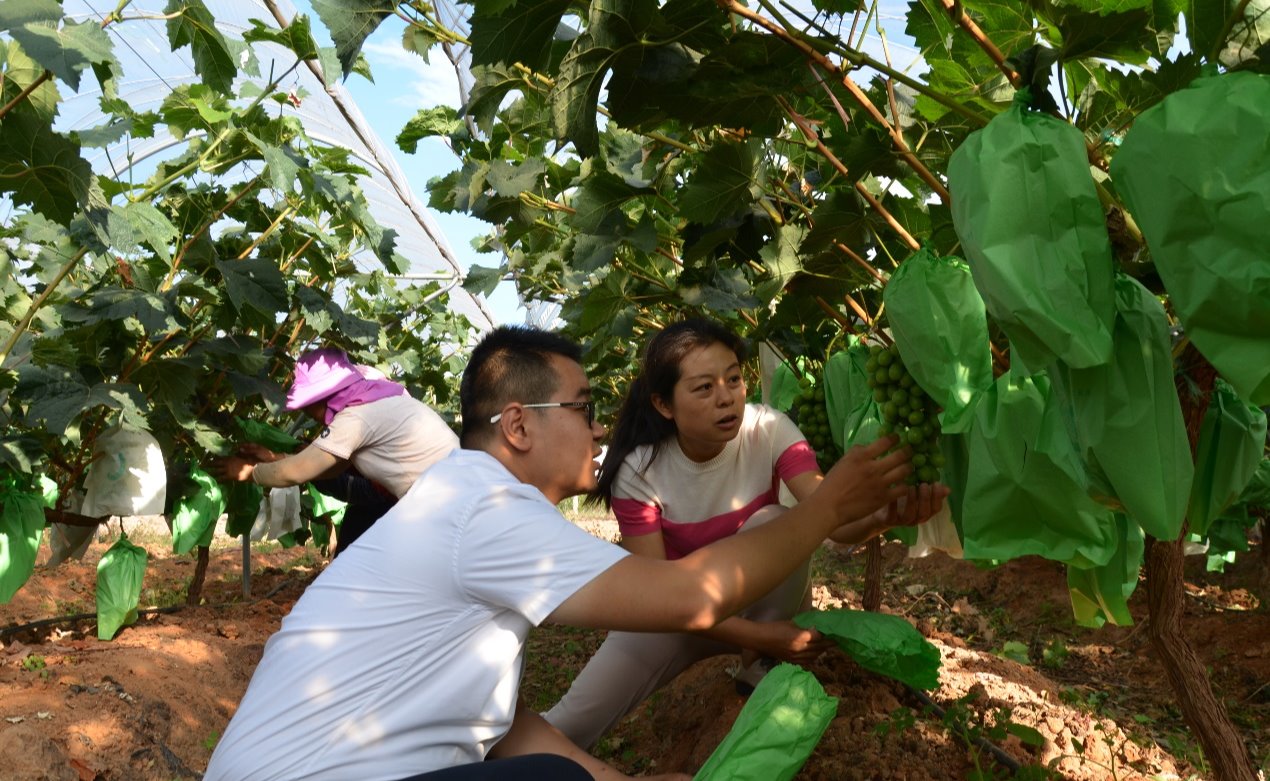 【深耕纪实】俞逸晨：在乡村的泥土中深耕