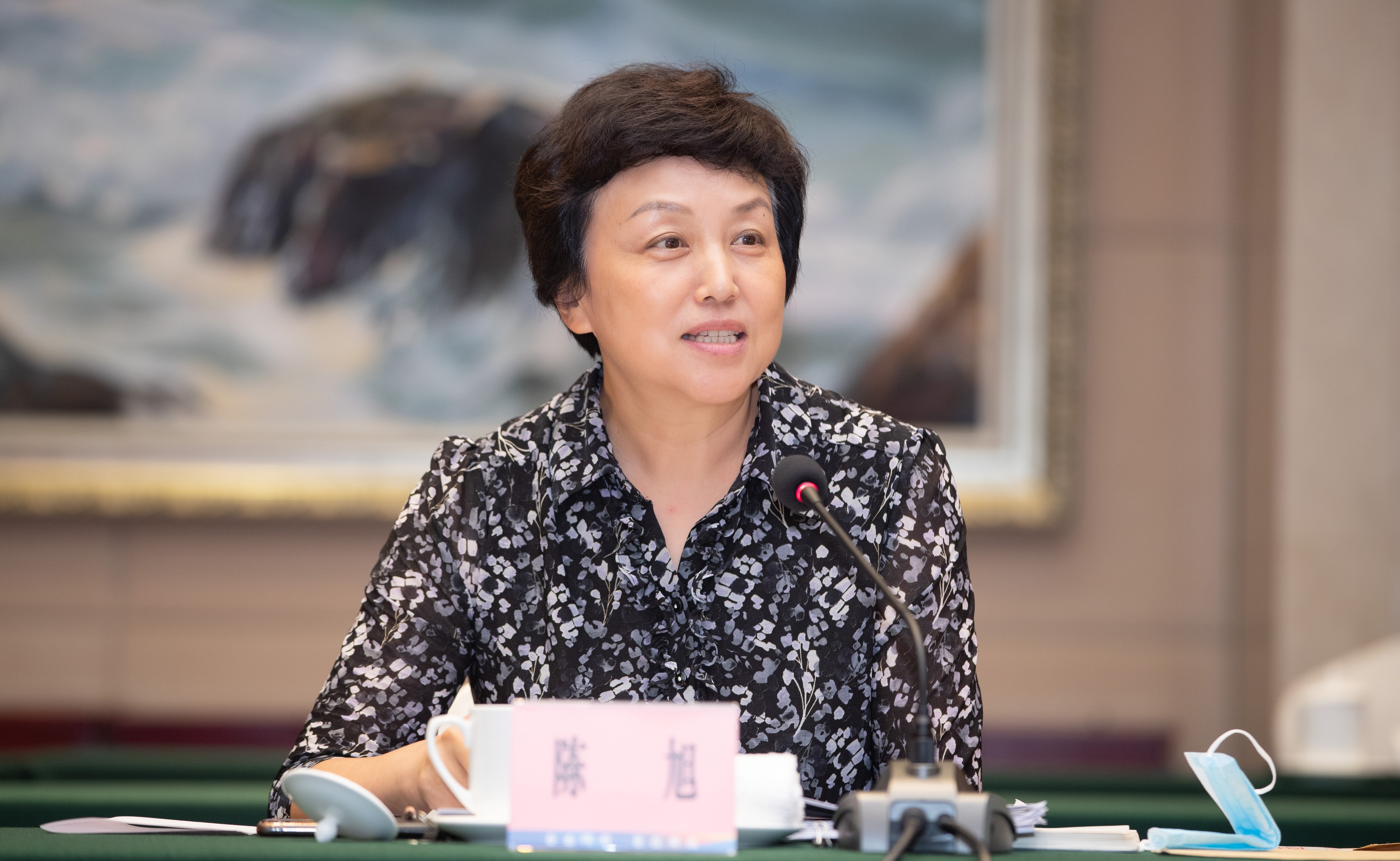 陈旭：努力建设中国特色世界一流大学